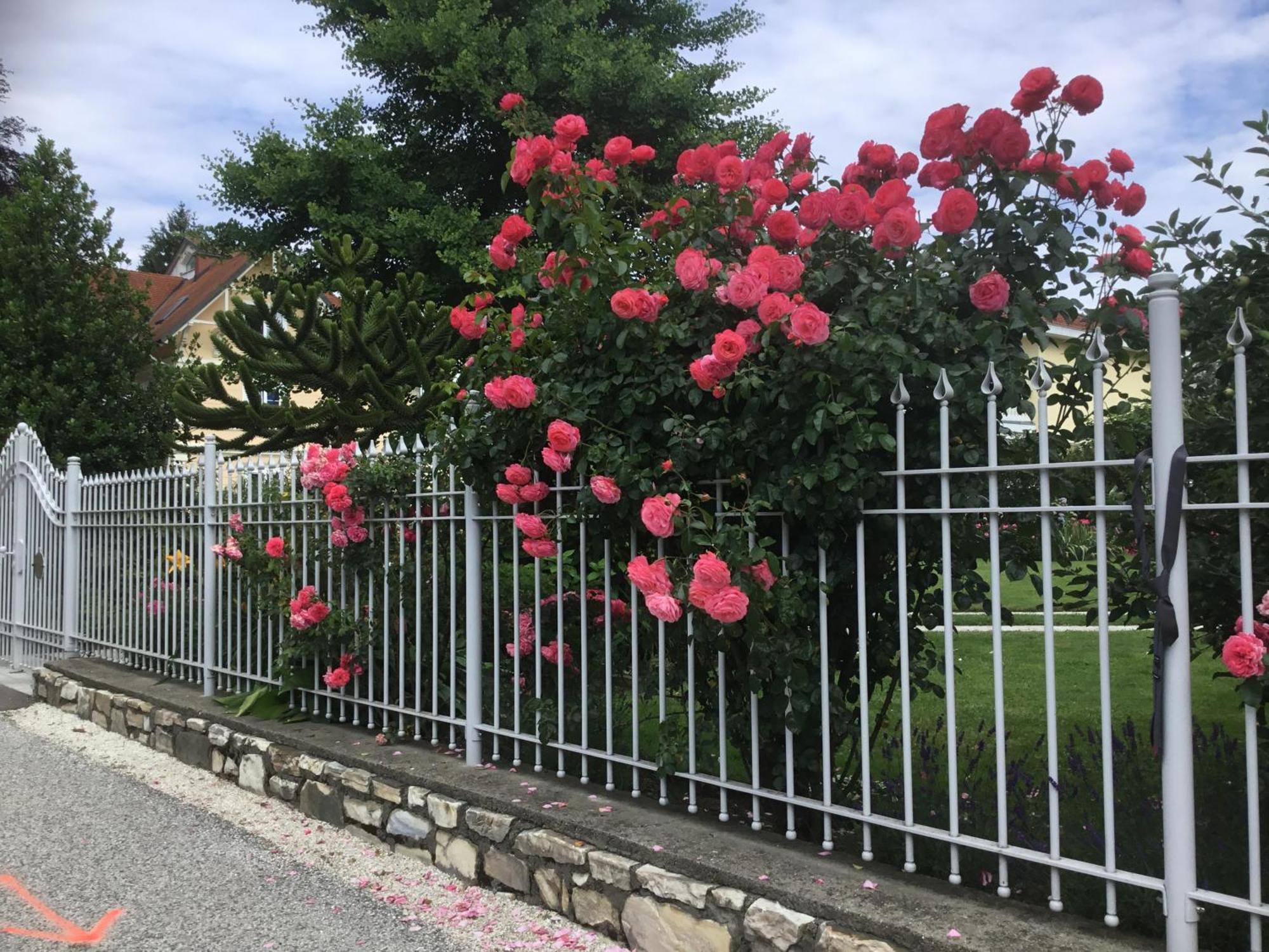 Villa Auguste Pörtschach am Wörthersee Esterno foto