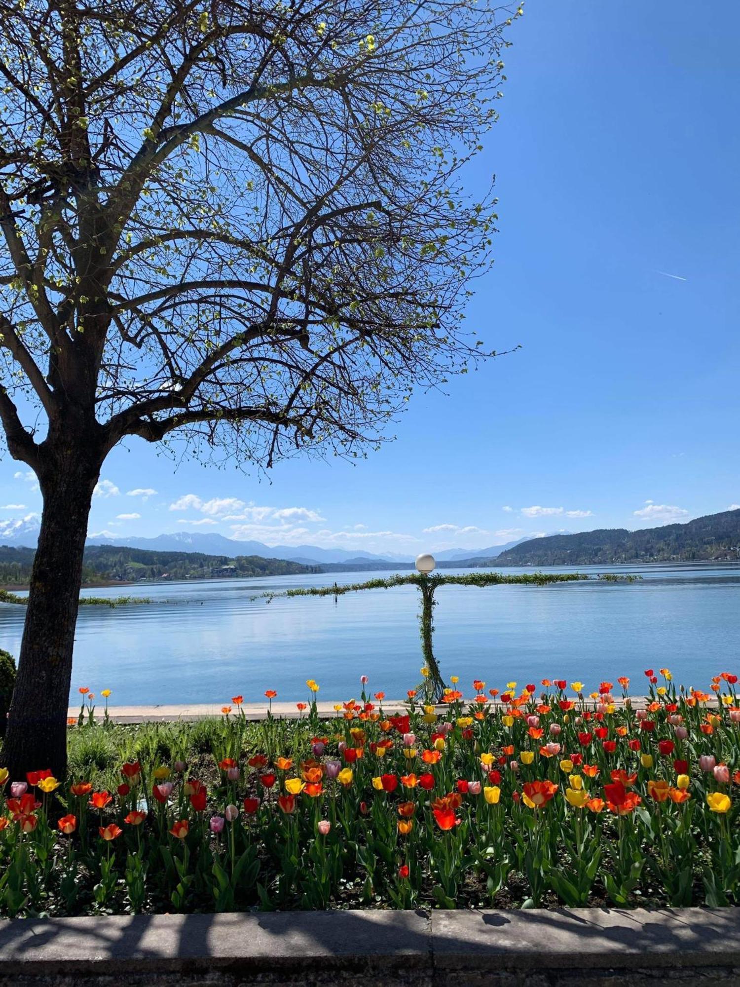 Villa Auguste Pörtschach am Wörthersee Esterno foto